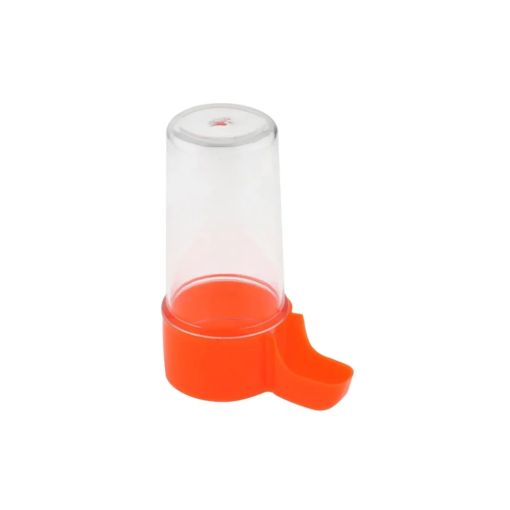 Bird Water Caost Little