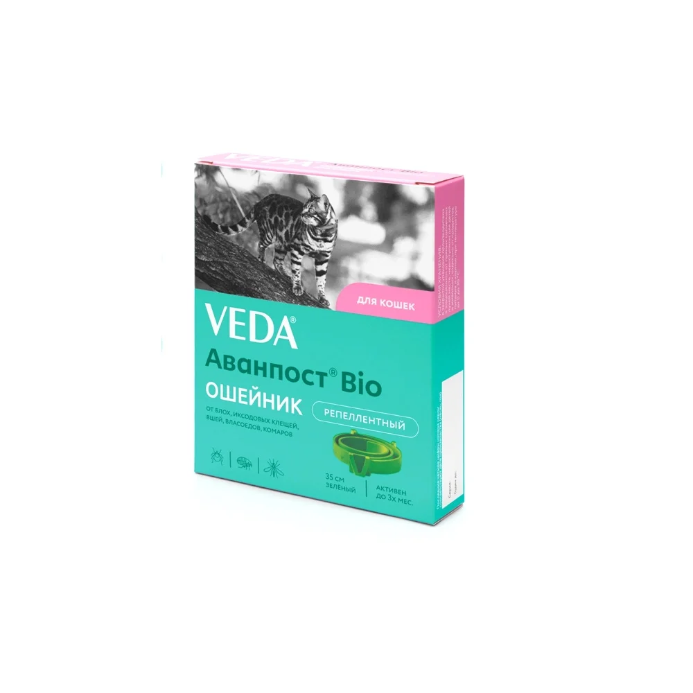 Veda collar for cats