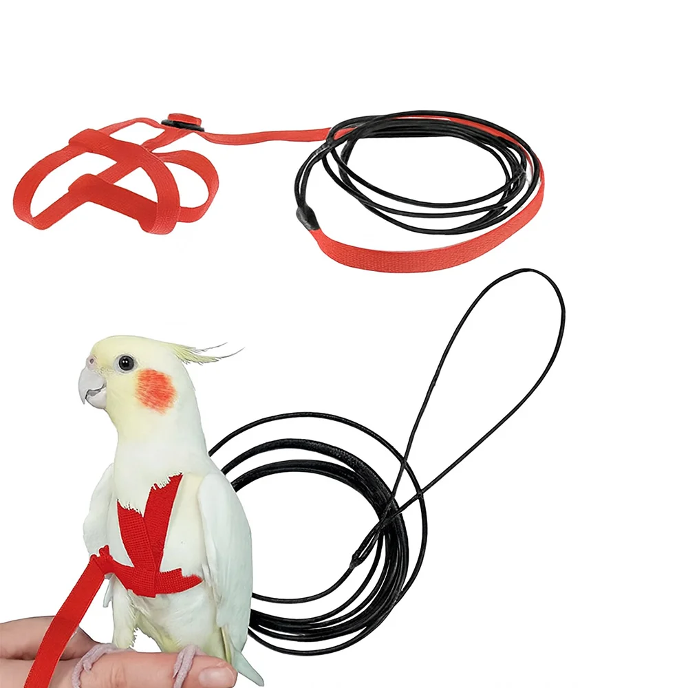 Harness for Birds