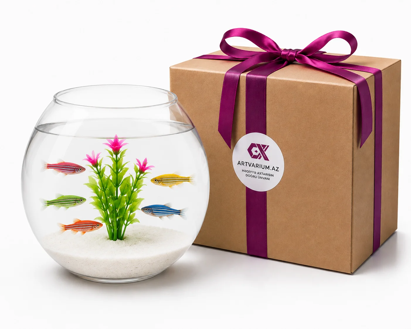 Hədiyyəlik Akvarium Seti - Rainbow Danio Set